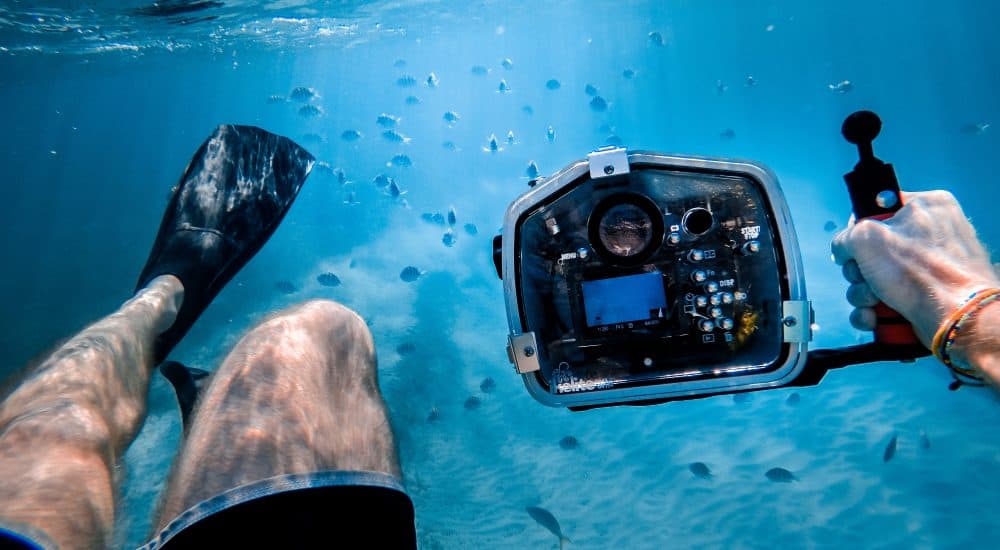The 15 Best Underwater Cameras Liquid Image