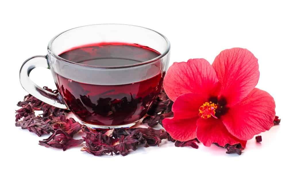 Hibiscus Tea and Blood Pressure Liquid Image